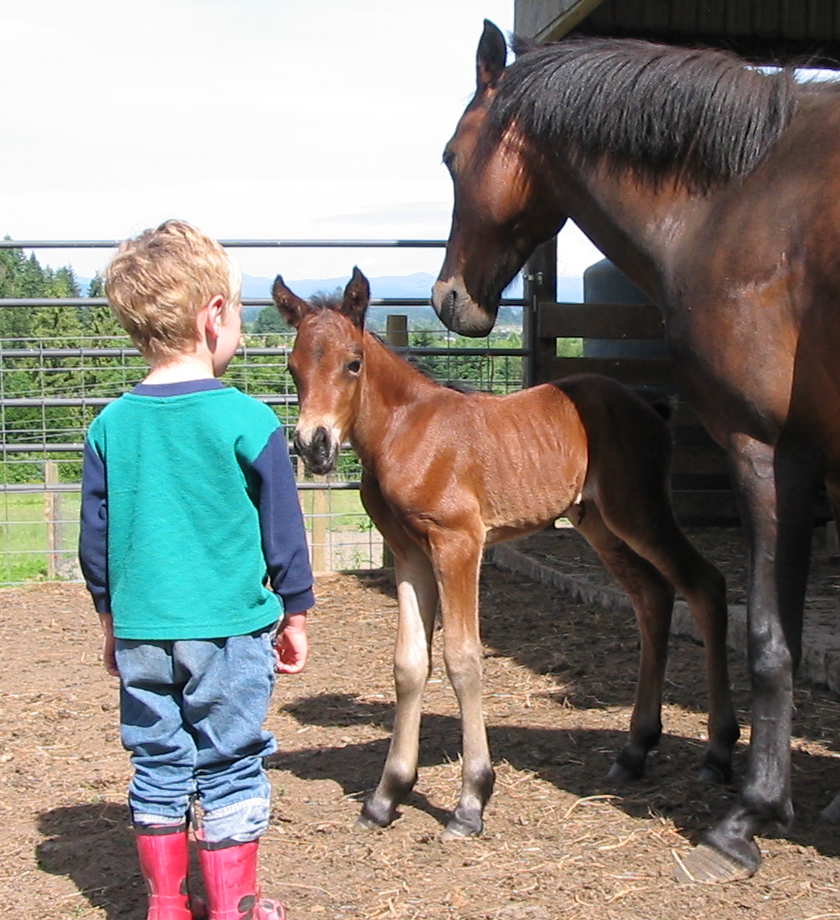 Jonathan with filly